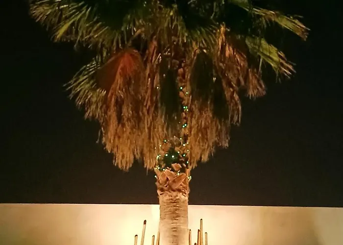 La Paillote 3*